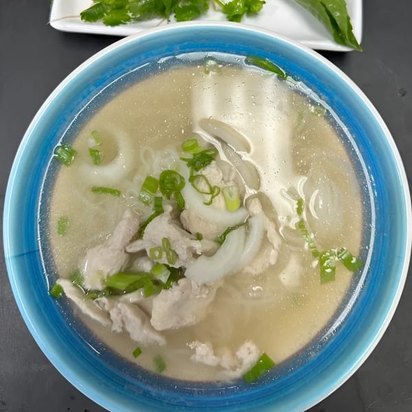 A blue bowl of Zake's chicken pho with noodles, chicken, and green onions.